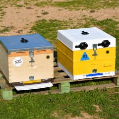 ANEL LockFit Replacement Entrance Door Plastic beehives and frames