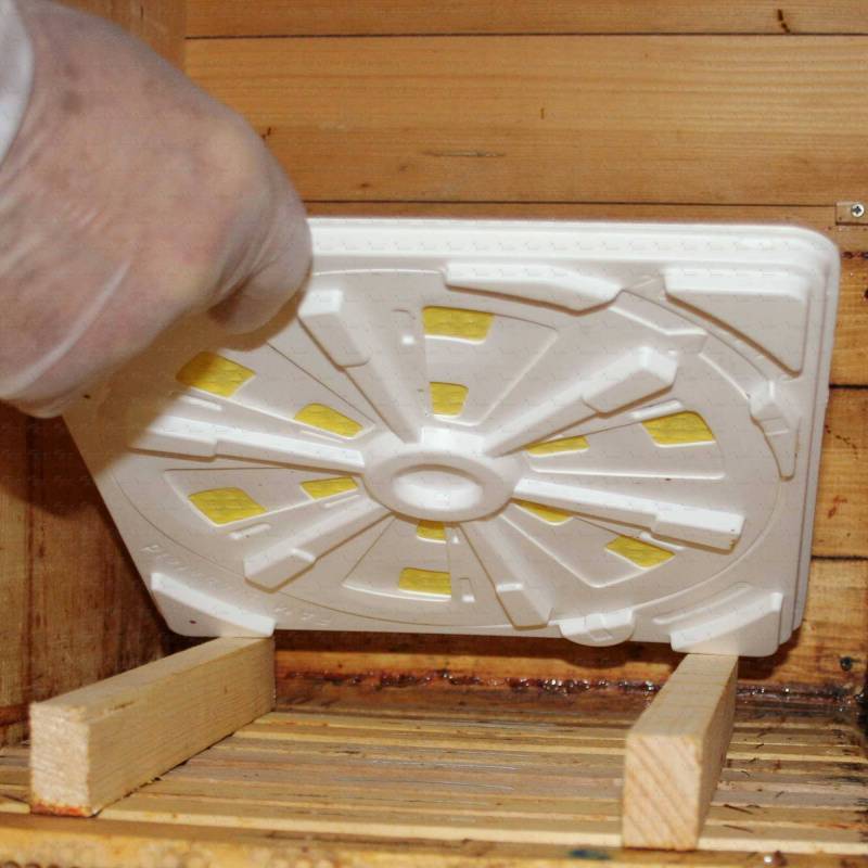 Évaporateur d'acide formique FAM Lutte complémentaire contre le varroa