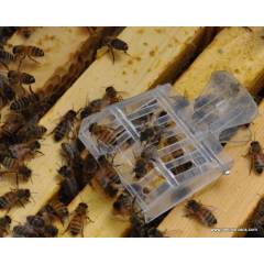 Pinza atrapa reinas Utensilios para cría de reinas