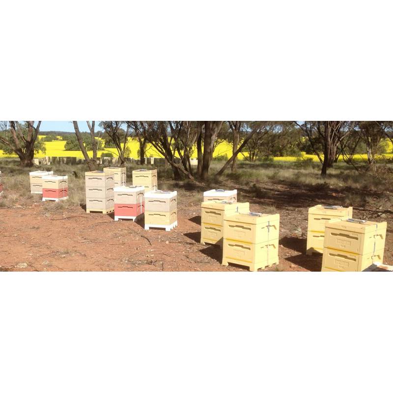 Ruche Langstroth en polystyrène ParadiseHoney® Les Ruches Langstroth