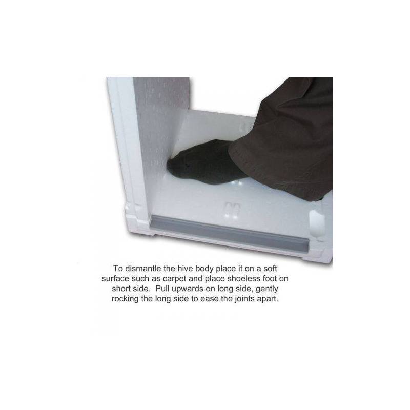 Cassettino Dadant US Polistirolo Paradise®