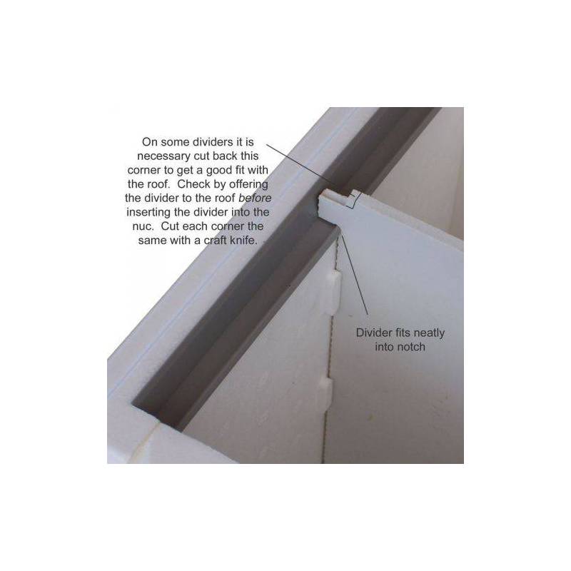 Cassettino Dadant US Polistirolo Paradise®