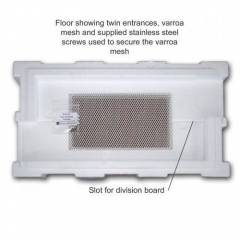 Paradise® 6F Dadant US nuc poly NUC HIVES