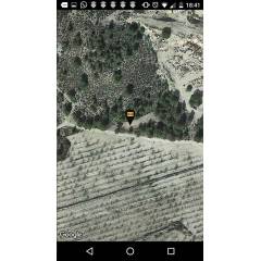 GPS Localizador de colmeia anti-roubo SMARTBEE Layens
