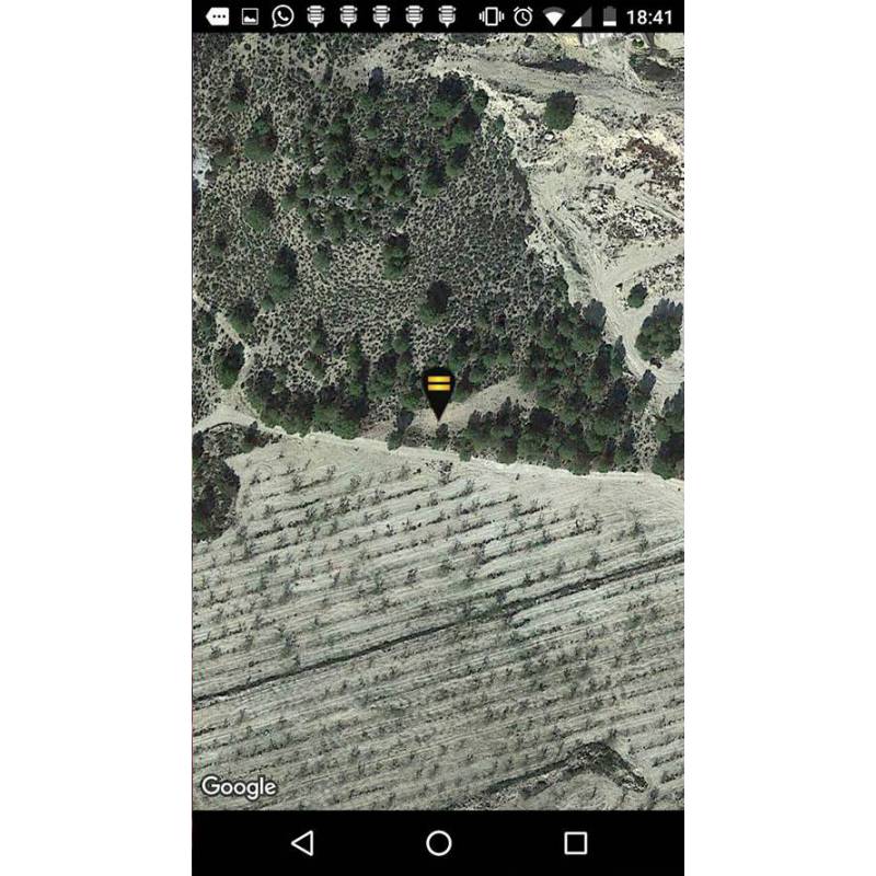 GPS Localizzatore di arnie antifurto SMARTBEE Layens
