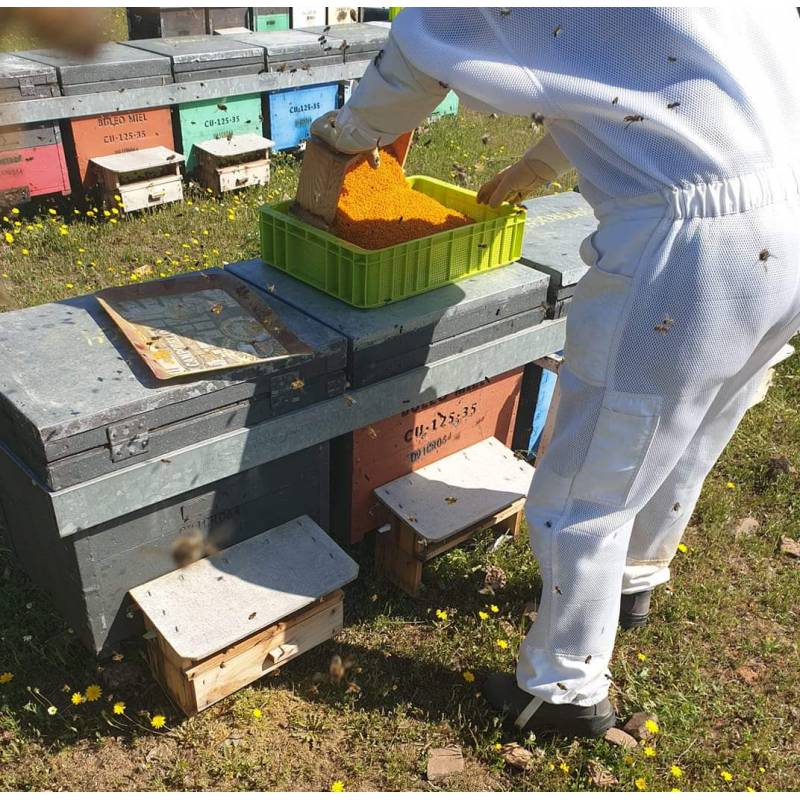 Harvesting bee pollen box BEE POLLEN