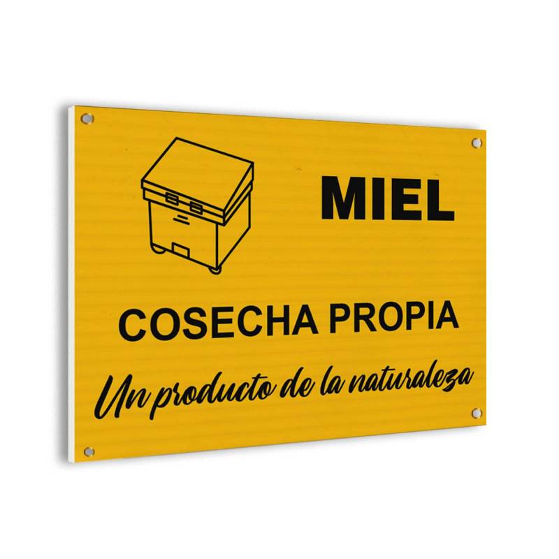 Cartel Venta de miel Carteles Apicultura