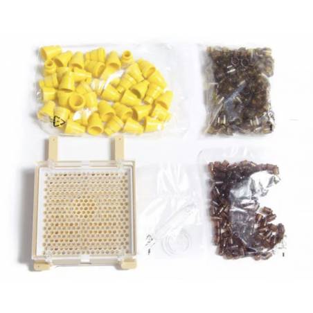 Kit d'élevage de Reine des Abeilles, Kit de Greffage pour Système d' Apiculture, Système d'élevage de Coupelles de Cellules, Kit d'outils de Greffage pour Apiculteurs