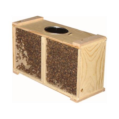 Paquet d’Abeilles Ibériques 1,2 kg Abeilles vivants