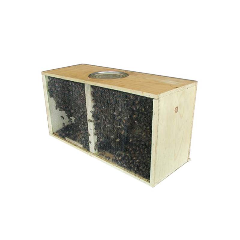 Paquete de abejas 1,2kg con reina Buckfast Material vivo