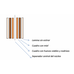 Cassettino ACTUARIO Langstroth 3+3