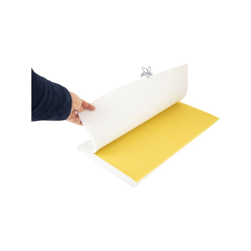 Matriz silicona para láminas Langstroth Estampadora de láminas Matriz silicona para láminas Langstroth Estampadora de láminas