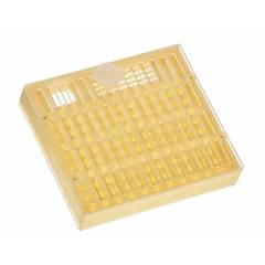 Cupularve NICOT® Cell grid only Queen rearing