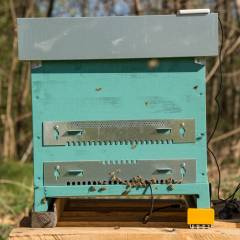 Beehive monitoring scale 3Bee Apiary monitoring and security