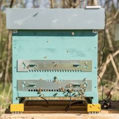 Beehive monitoring complete scale 3Bee Apiary monitoring and security