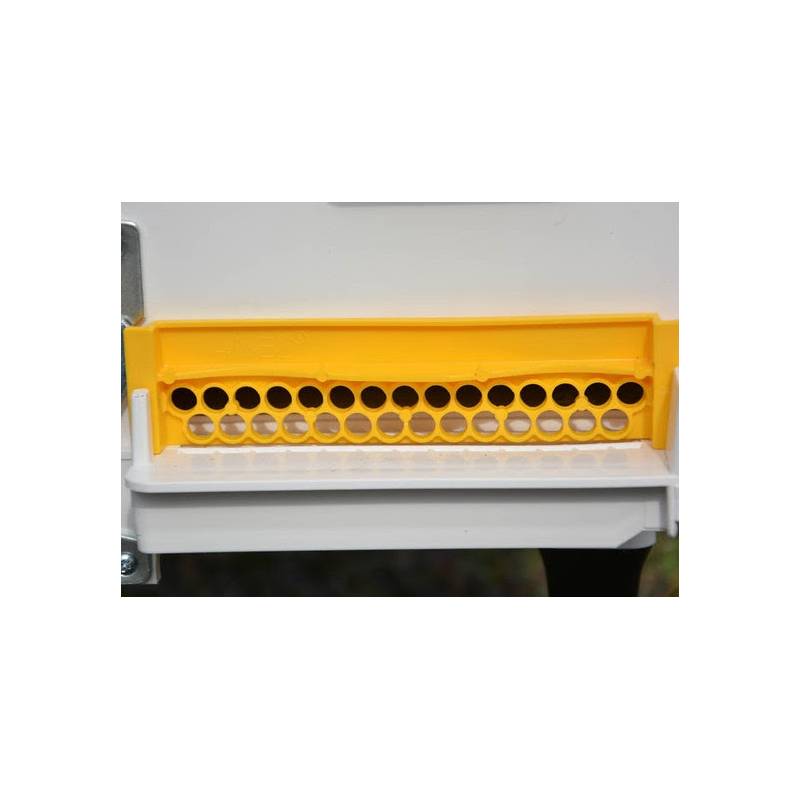 Base arnia in plastica ventilata ANEL®