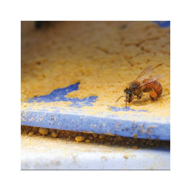 Ultra Bee® Dry 40lb