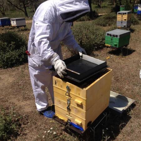 Nourrisseur couvre-cadres 7,5 kg pour ruche Nourrisseurs