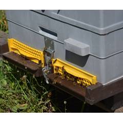 Plastic Standard bottom board ANEL® Beehive Accessories