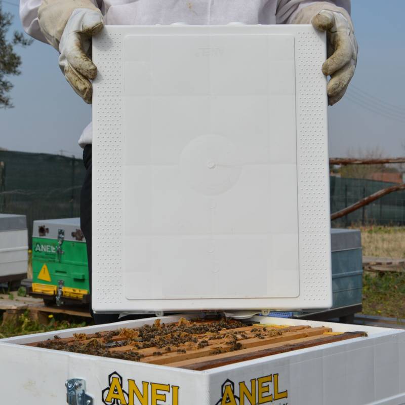 10F Plastic Roof ANEL® Beehive Accessories