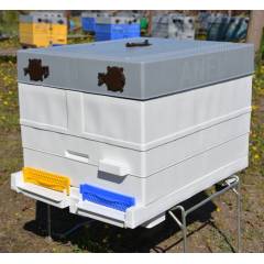 10F Plastic Langstroth body ANEL® Langstroth Beehives