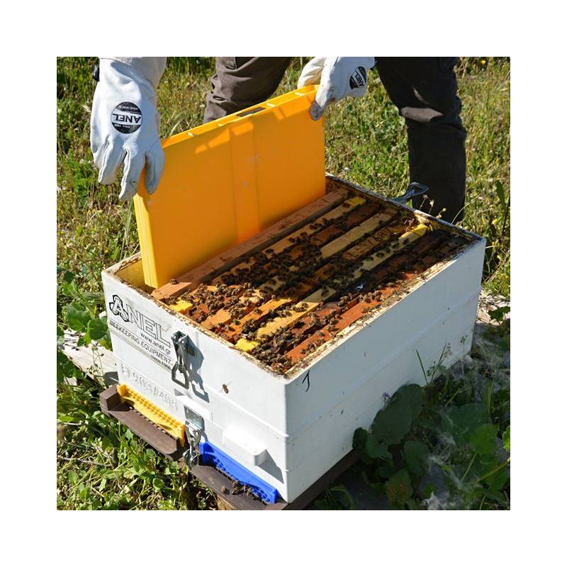 Alimentador de cuadro Langstroth 3kg Alimentadores para abejas