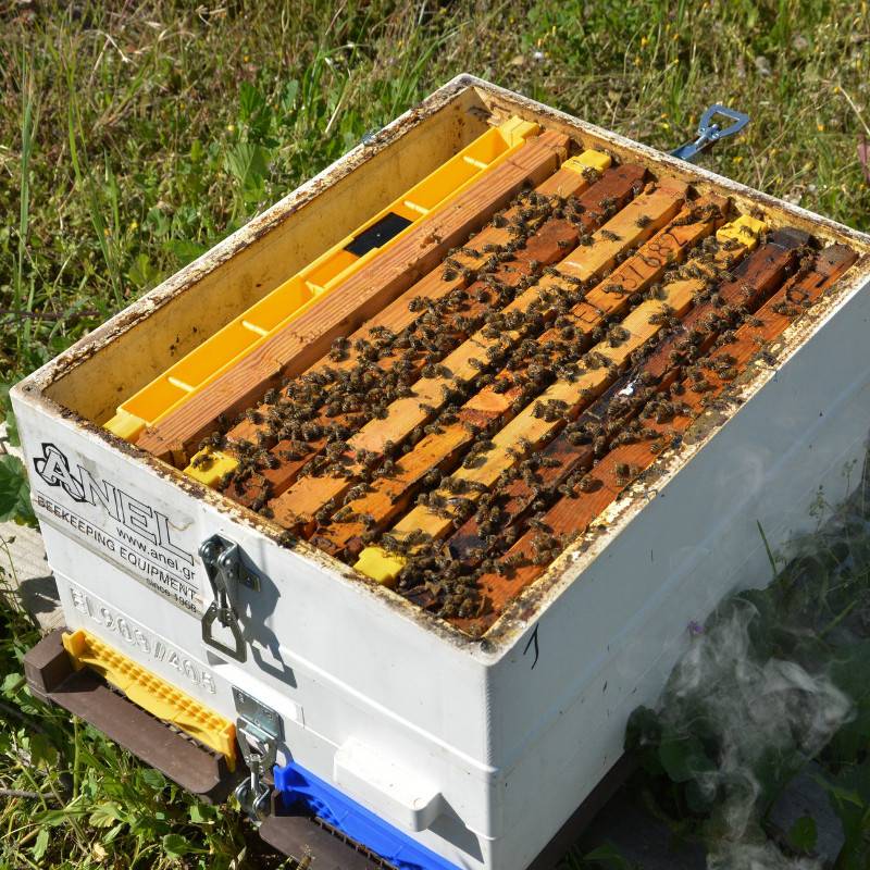 Alimentador de cuadro Langstroth 3kg Alimentadores para abejas