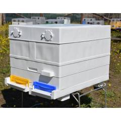 10F Plastic Langstroth body ANEL® Langstroth Beehives