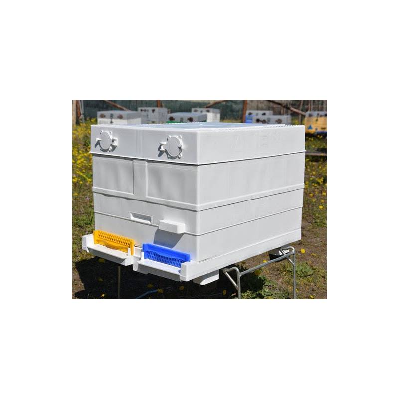 Ablegerbeute Langstroth Plastik ANEL®