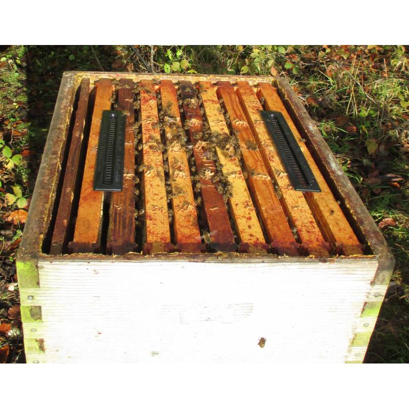 Small Hive Beetle Blaster Trap BEE HEALTH