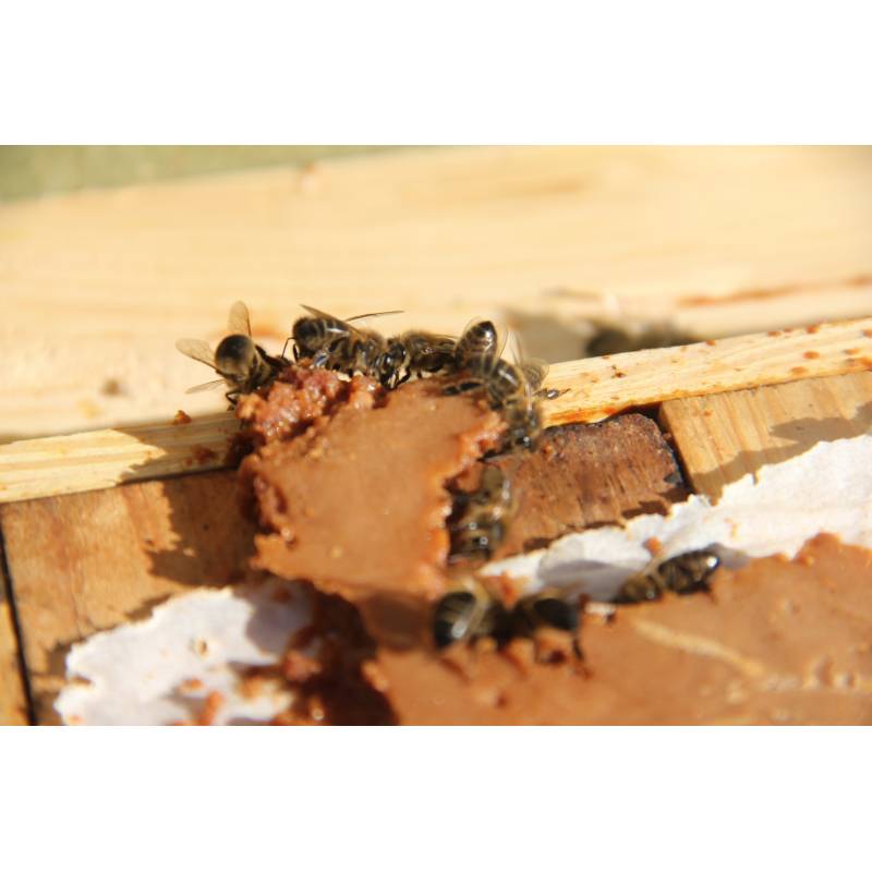 Pâtes protéinée Bee-Sacc® Health Alltech 16% - Individuel 300g Protéine