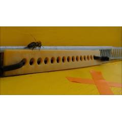 Polyvar varroa 275mg (5 colmenas) Tratamientos varroa (con receta)