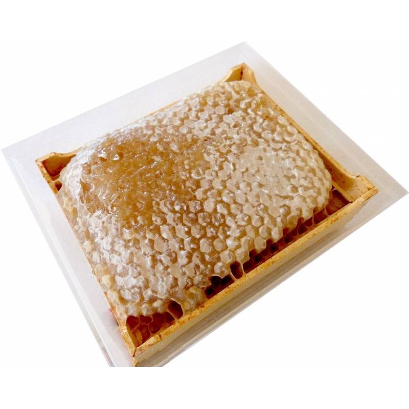 Plastic section for honey comb NICOT Beehive Accessories