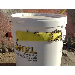 Bee Trough self refilling Feeders