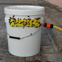 Bebedero para abejas de riego continuo Alimentadores para colmenas