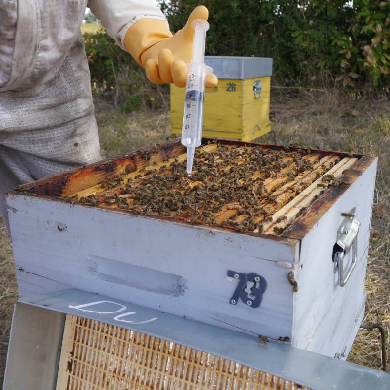 Oxybee 1L (30 ruches) Les médicaments contre le Varroa