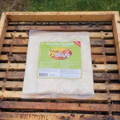 Fondant Hive Alive 12kg Bee colony health