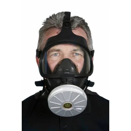 Masque à gaz RSG-400E + filtre A2B2E2K2P3 Accessoires de désinfection des ruches