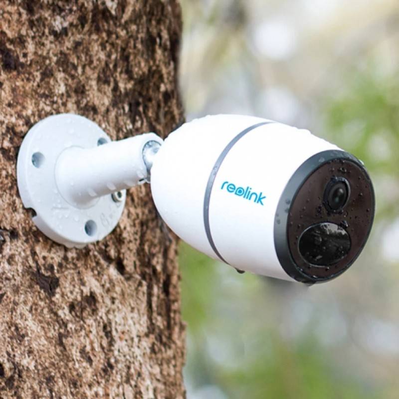 Caméra anti-vol 4G pour ruche Roelink Go Balance de rucher et sécurité