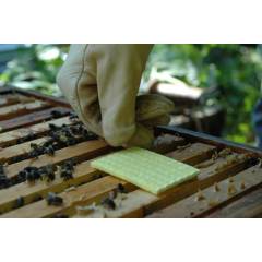 Thymovar Les médicaments contre le Varroa