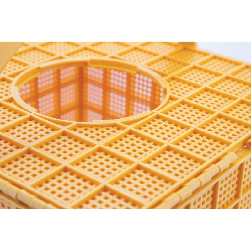 MULTIBOX envase paquete con alimentador NÚCLEOS DE ABEJAS