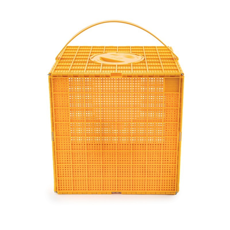 MULTIBOX envase paquete con alimentador NÚCLEOS DE ABEJAS