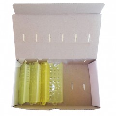 Queen Shipper Cardboard Box (Up To 10 Cages) Queen rearing
