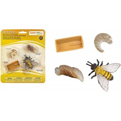 Jouet éducatif Cycle de vie des abeilles Cadeaux et divers