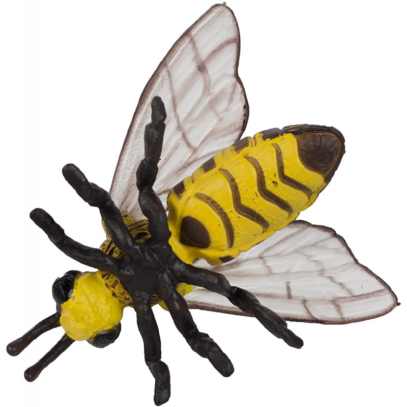 Figuritas educativas del Ciclo de Vida de una Abeja Regalos y decoración