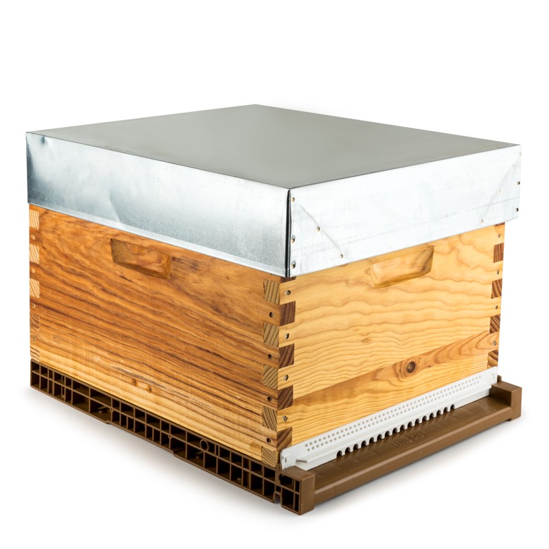 Beehive Dadant Blatt Hybrid® 10F Dadant Beehives