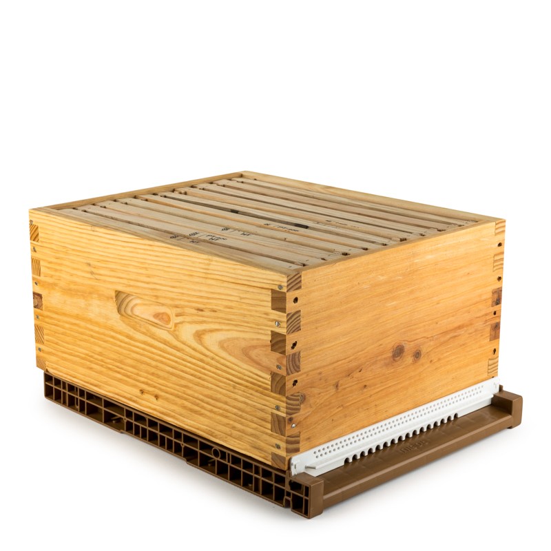Beehive Langstroth Hybrid® 10F Langstroth Beehives
