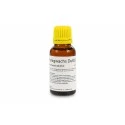 Aceite Fragancia de cera de miel para velas Material para hacer velas