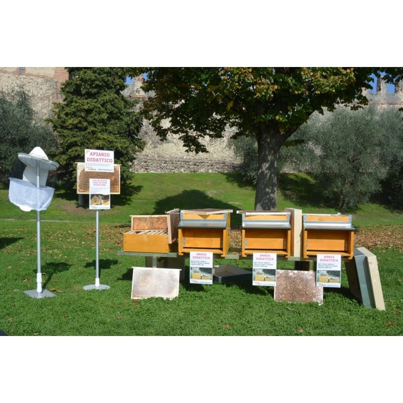 Foto-Kit echte Bienenstockbilder