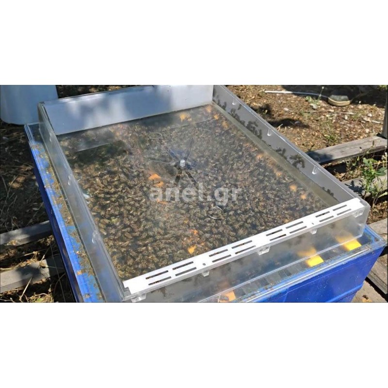 Alimentador de techo Transparente ANEL® Alimentadores para colmenas